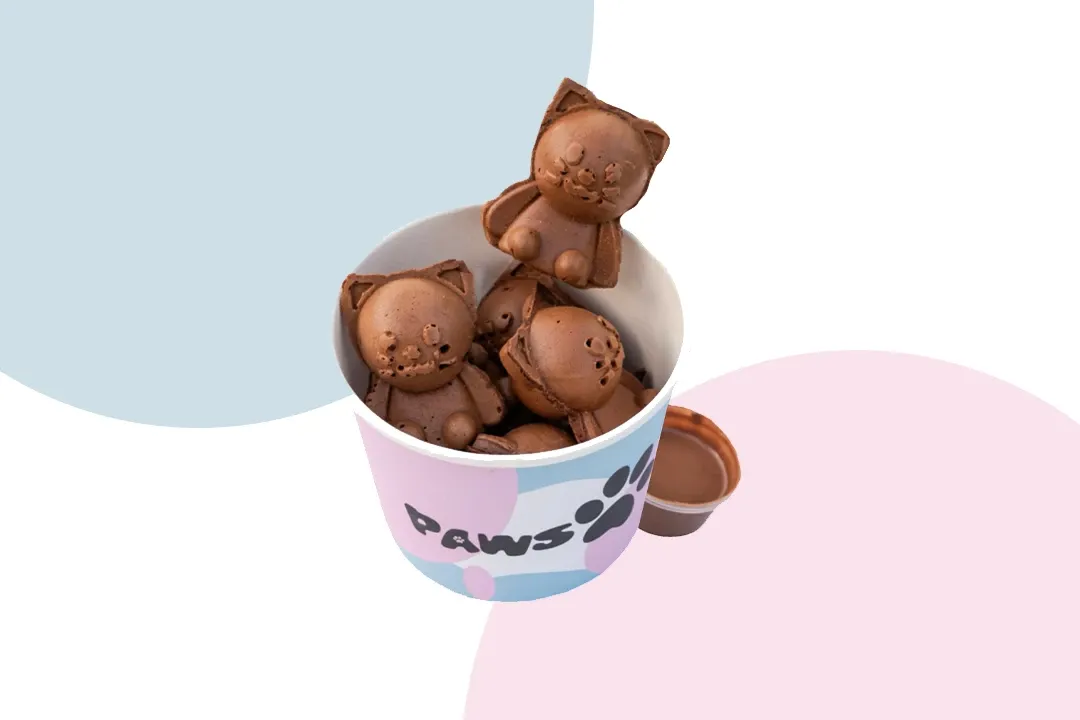 Chocolate Kitten Pancakes