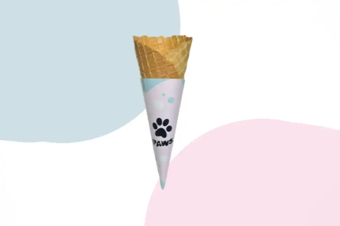 Waffle Cone